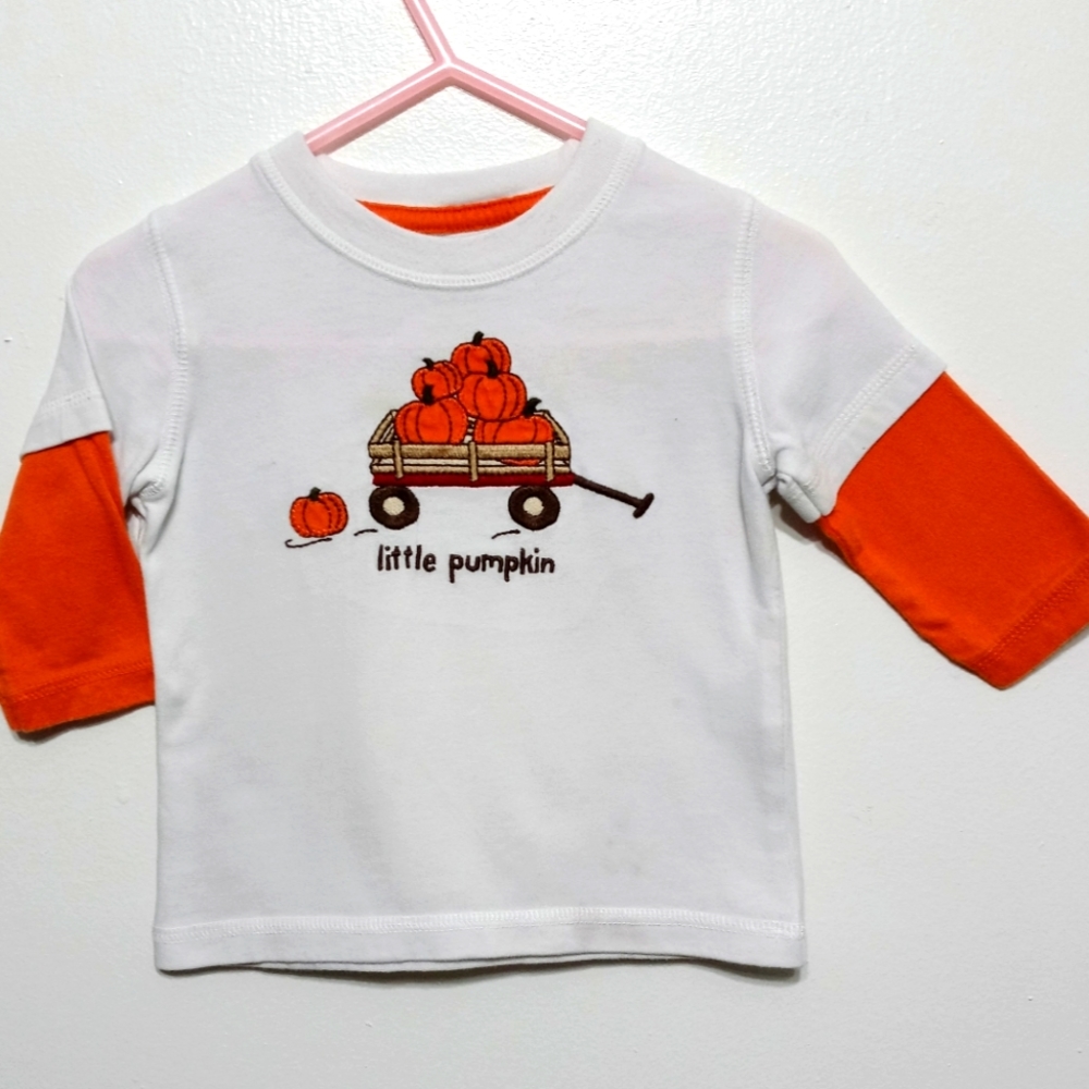 Seasonal treat! Long sleeve fall pumpkin tee